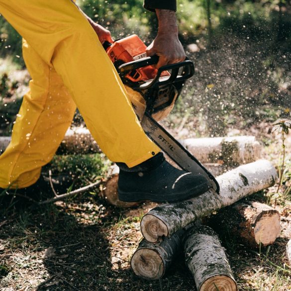 Lumberjack Saws