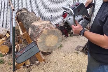 Lumberjack Show Gatlinburg