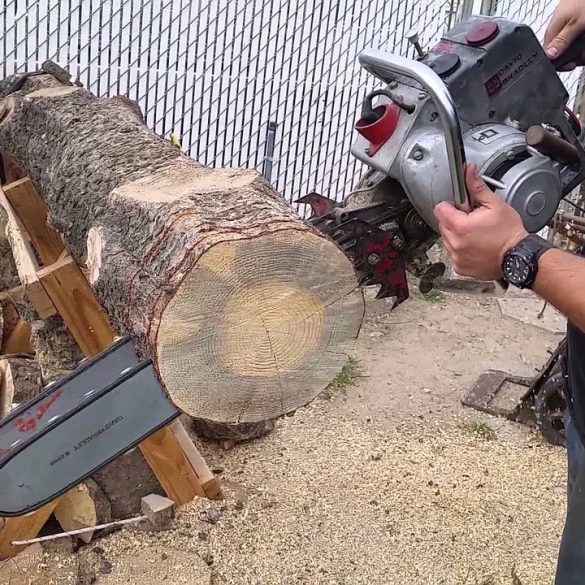 Lumberjack Show Gatlinburg