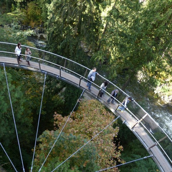 Lumberjack Show Vancouver