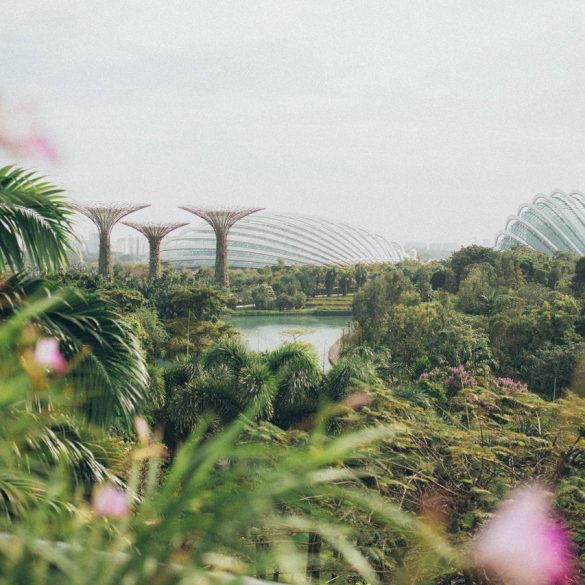 Lumberjack Singapore