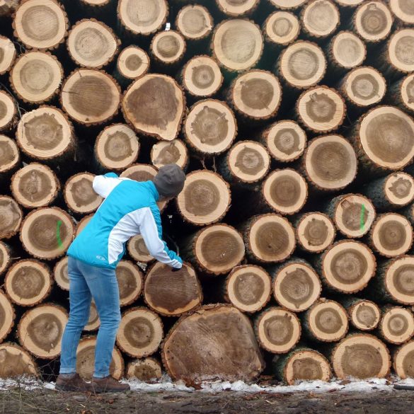 Lumberjack Skit