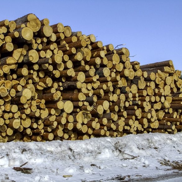 Lumberjack Slam