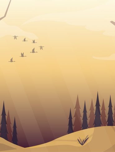 Lumberjack Song cartoon