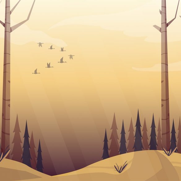 Lumberjack Song cartoon