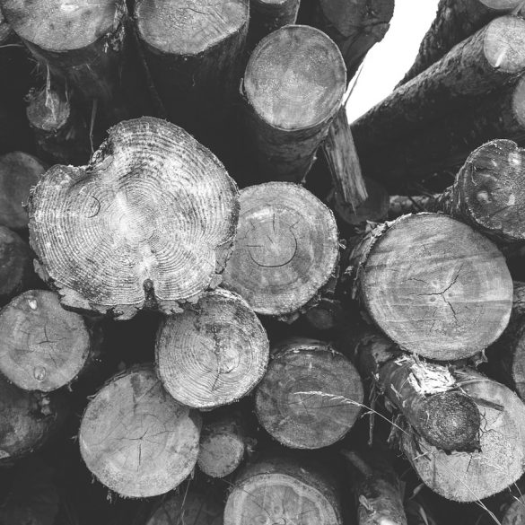 Lumberjack Syrup