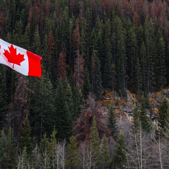 Lumberjack World Championships