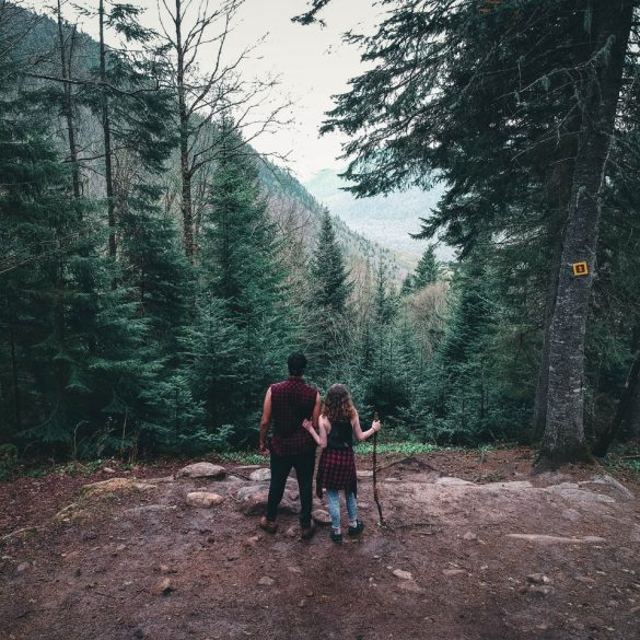 Lumberjack chainsaw song