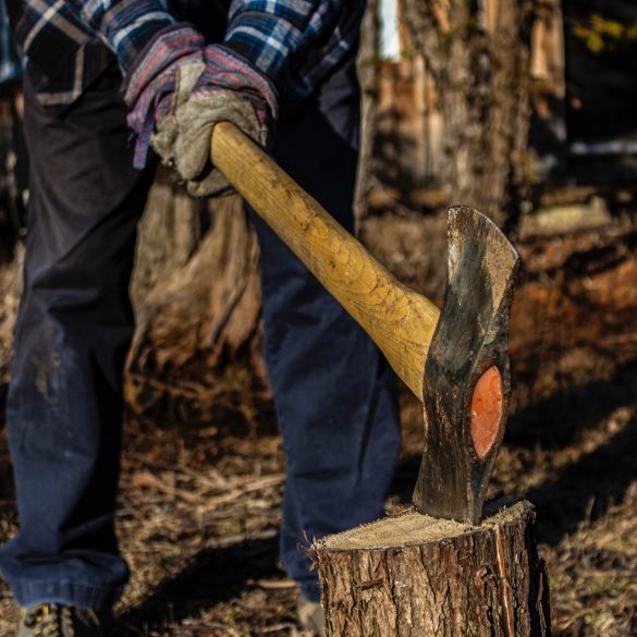 Lumberjack experience
