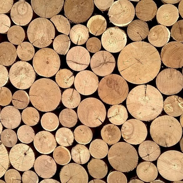 Lumberjack jobs in Canada