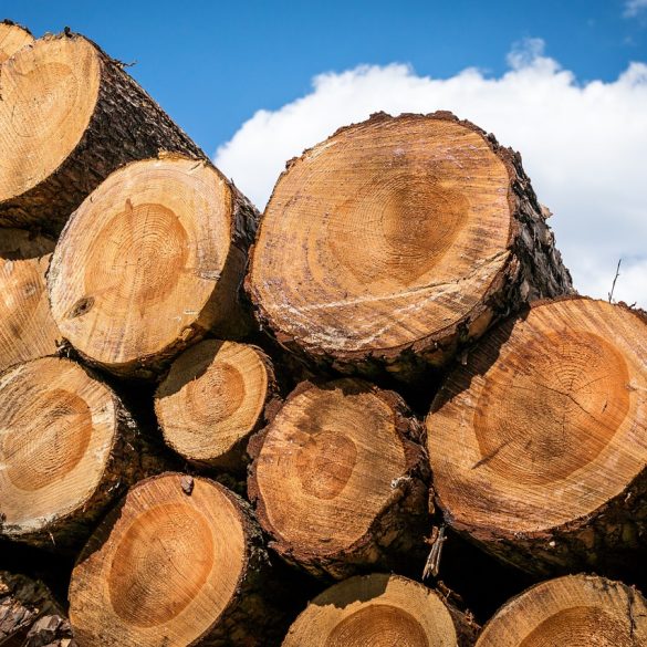Lumberjack mask
