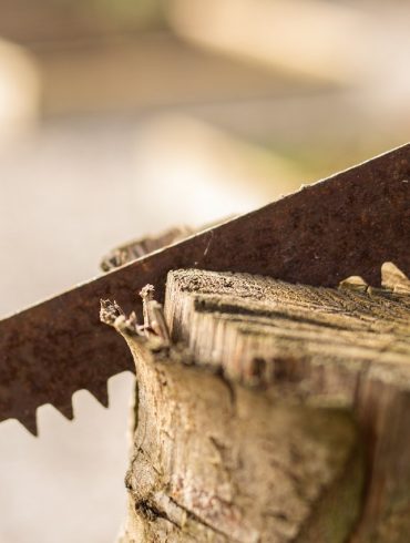 Lumberjack saw Warren Arkansas British Columbia