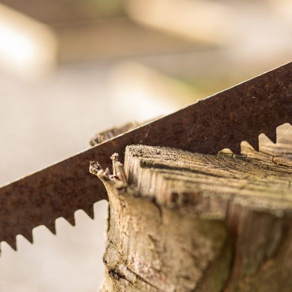 Lumberjack saw Warren Arkansas British Columbia