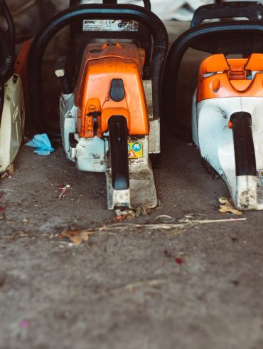 Lumberjack saw types Canada BC