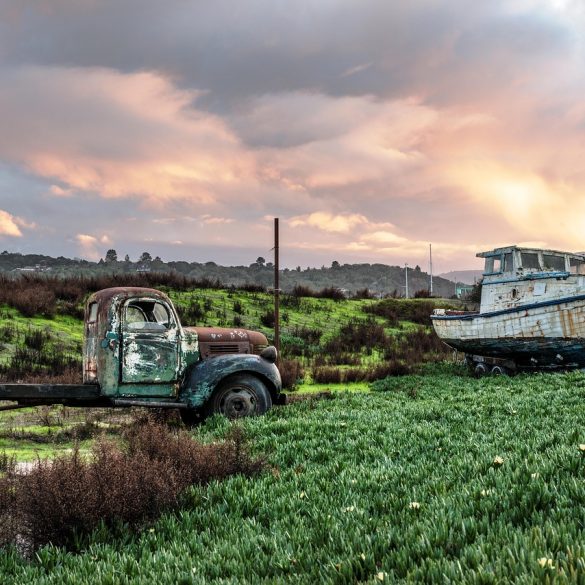 Lumberjacks Petaluma CA