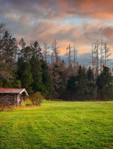 Lumberjacks Schedule