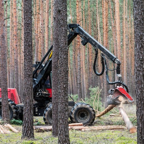 Lumberjacks St. Clair
