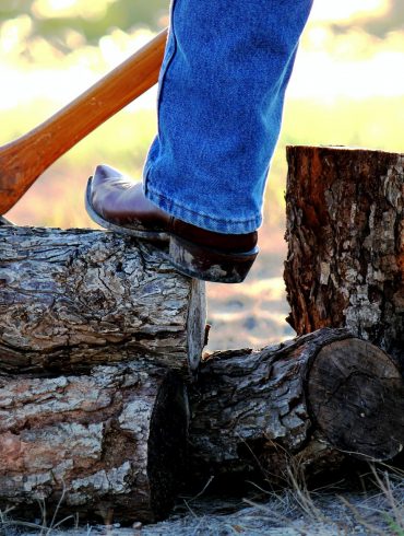 Lumberjacks Stockton CA