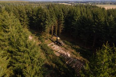 Lumberjacks of Canada Geography