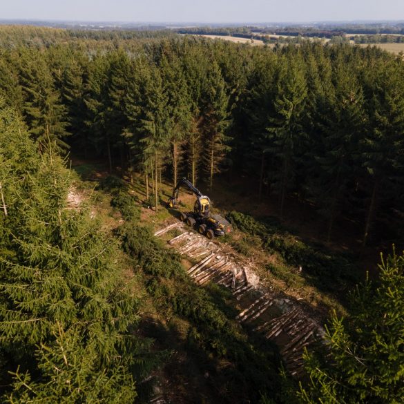 Lumberjacks of Canada Geography