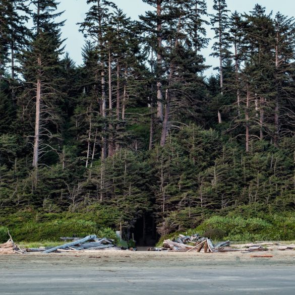 Lumberjacks of Canada Information