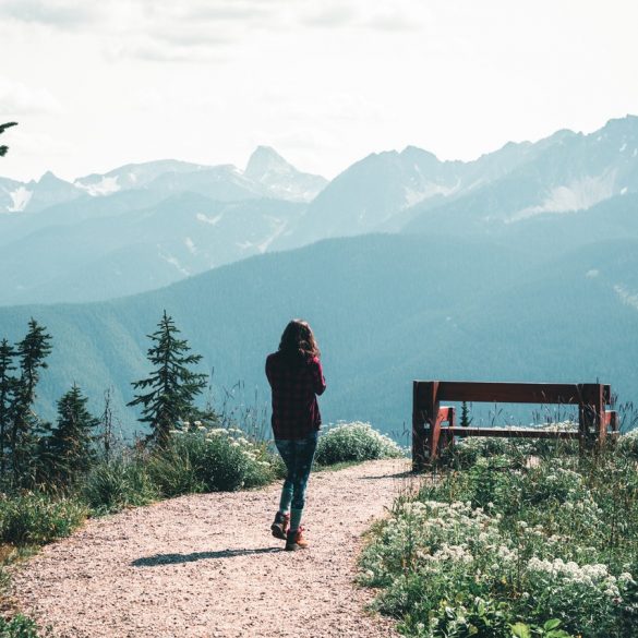 Lumberjack® Fashion