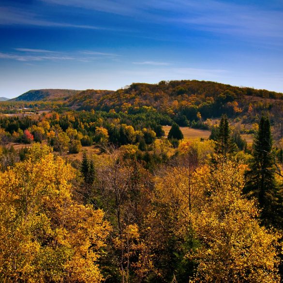 Michigan Lumberjacks