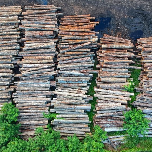 Monty Python IM a Lumberjack