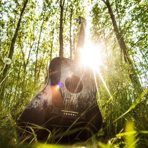 Monty Python Lumberjack Song