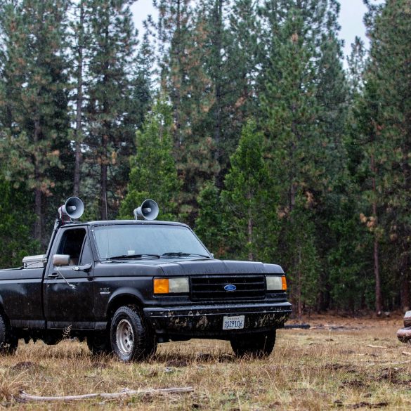 No axe to grind Definition British Columbia