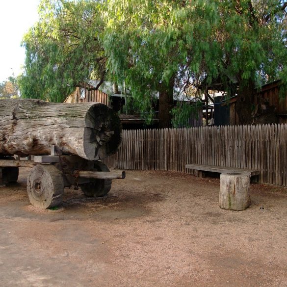 Old Lumberjack Pictures