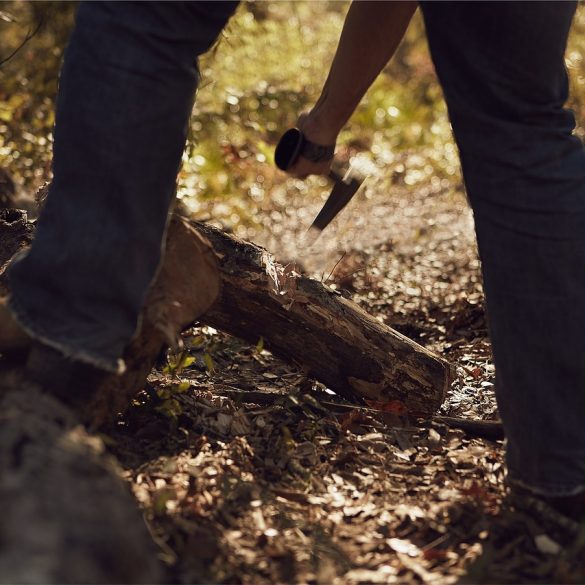 Professional Lumberjack axes