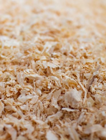 Responsible wood sourcing Canada BC