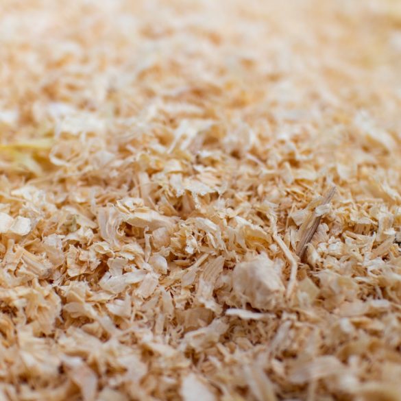 Responsible wood sourcing Canada BC