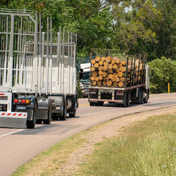 Short wood log trucks British Columbia