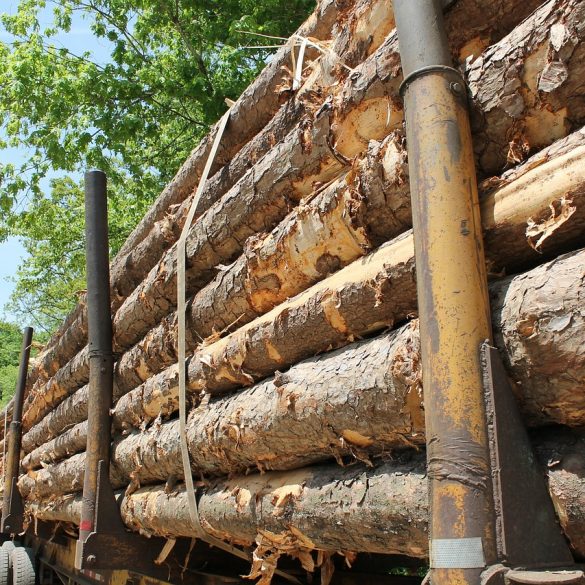 Snickers Lumberjack commercial