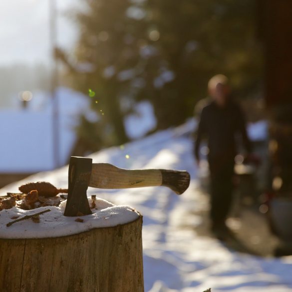 Tom of Finland Lumberjacks