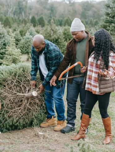 Two man crosscut saw Replacement Handles Canada