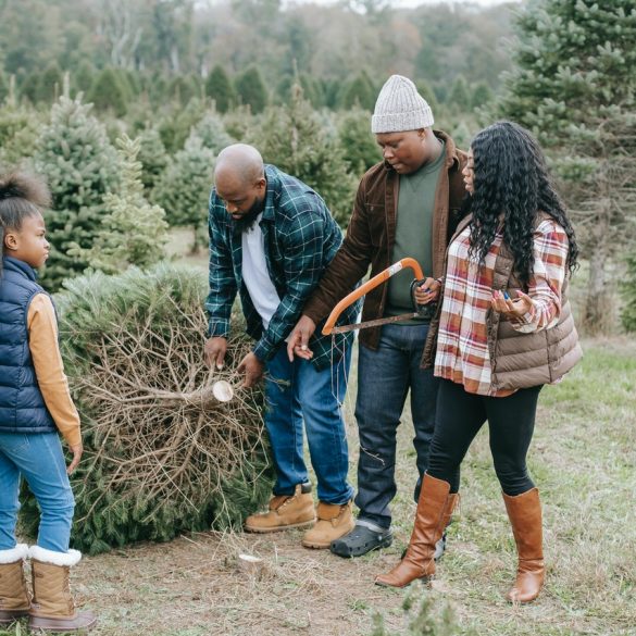 Two man crosscut saw Replacement Handles Canada
