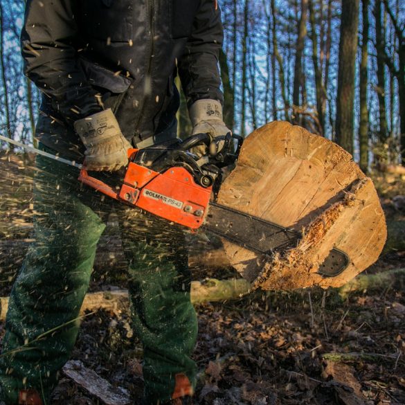 Types of Lumberjack Saws Canada BC