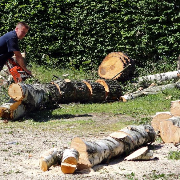 WEN Lumberjack