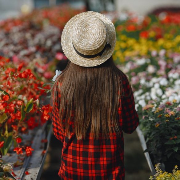 West Coast Lumberjack Show