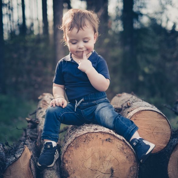 Where do Lumberjacks live