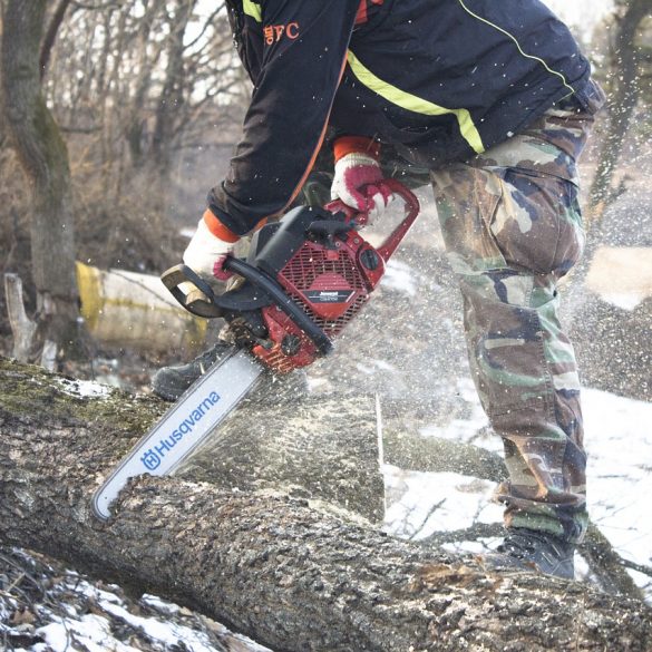 Willie Nelson Lumberjack