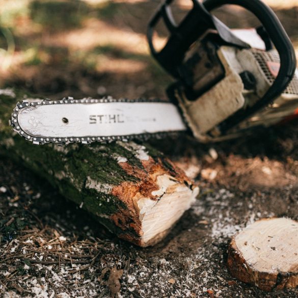 Wood exports from Canada