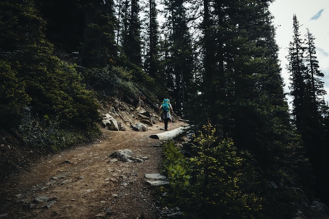 man-in-green-shirt-walking-on-dirt-road-between-green-trees